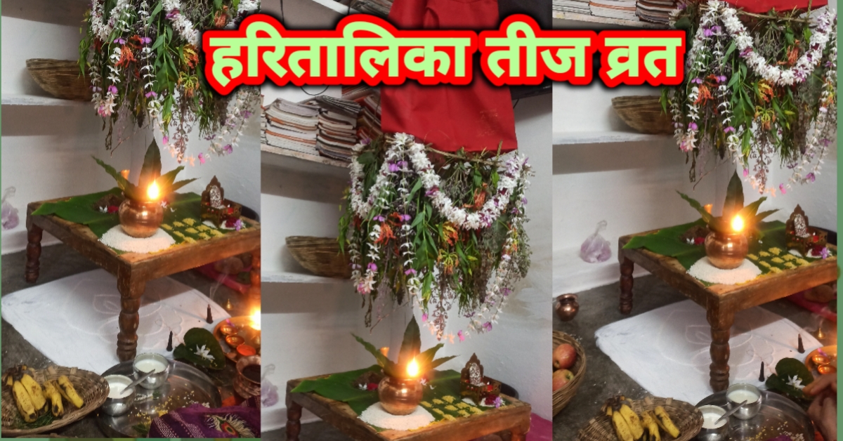 गैलरी इमेज